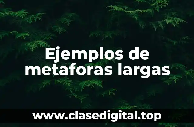 Ejemplos de metaforas largas