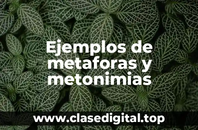 Ejemplos de metaforas y metonimias