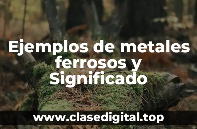 Ejemplos de metales ferrosos y Significado