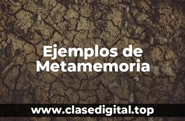 Ejemplos de Metamemoria