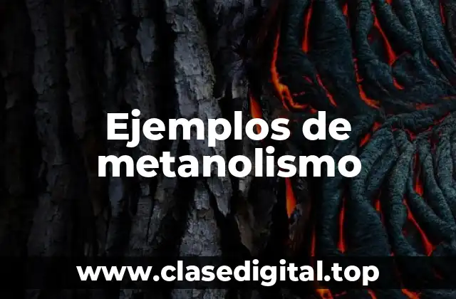 Ejemplos de metanolismo