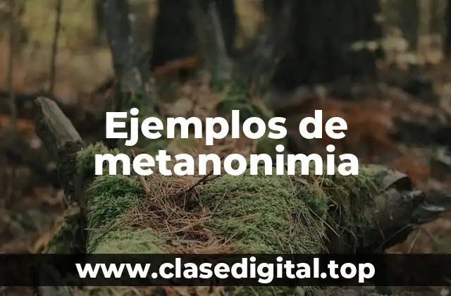 Ejemplos de metanonimia