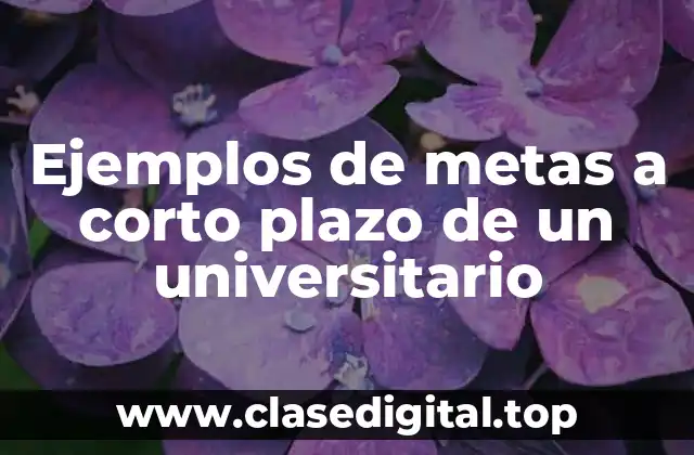 Ejemplos de metas a corto plazo de un universitario