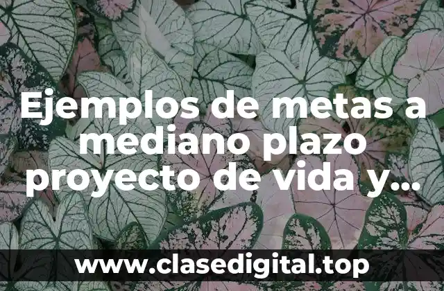 Ejemplos de metas a mediano plazo proyecto de vida