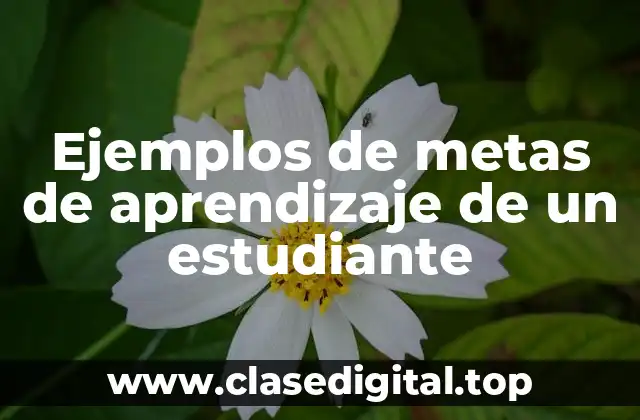 Ejemplos de metas de aprendizaje de un estudiante
