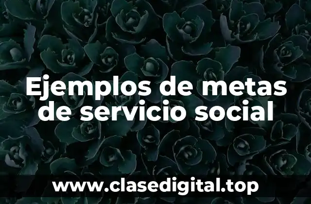Ejemplos de metas de servicio social