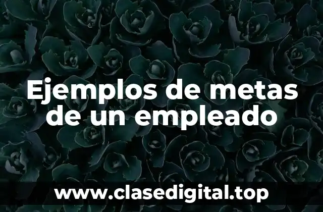 Ejemplos de metas de un empleado