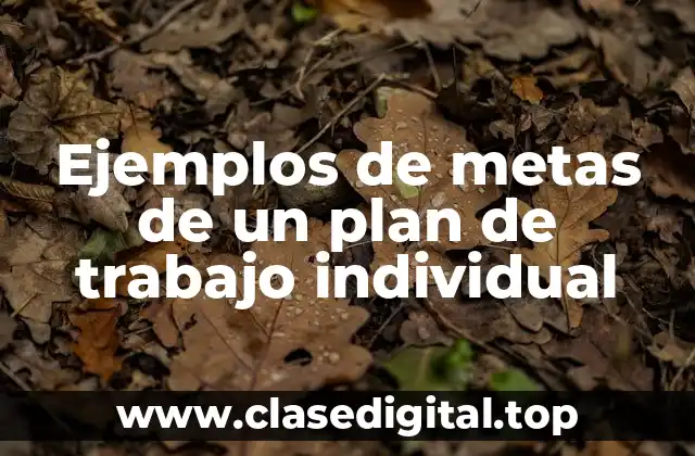 Ejemplos de metas de un plan de trabajo individual
