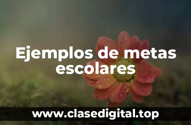 Ejemplos de metas escolares