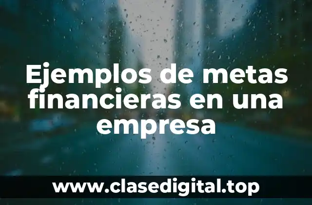 Ejemplos de metas financieras en una empresa