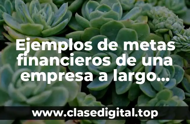 Ejemplos de metas financieros de una empresa a largo plazo