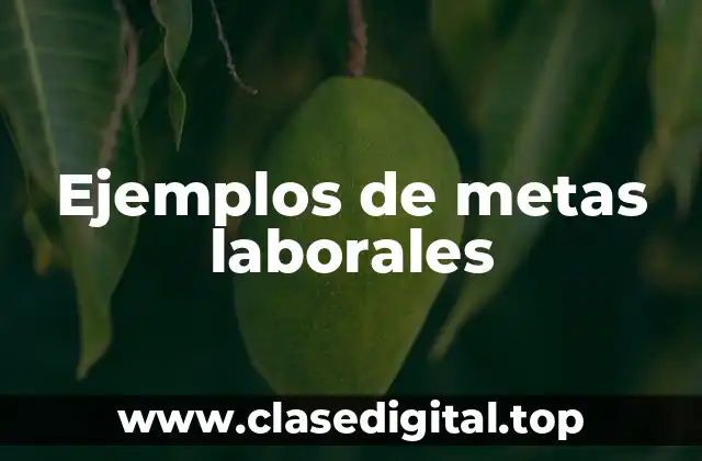 Ejemplos de metas laborales