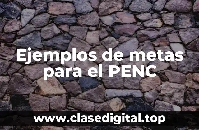 Ejemplos de metas para el PENC