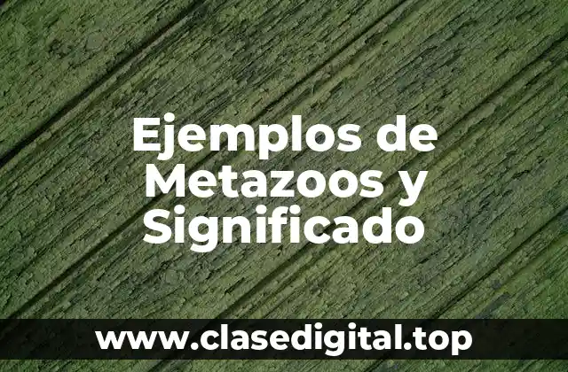 Ejemplos de Metazoos y Significado