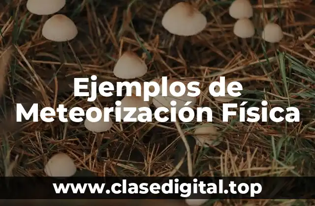 Ejemplos de Meteorización Física