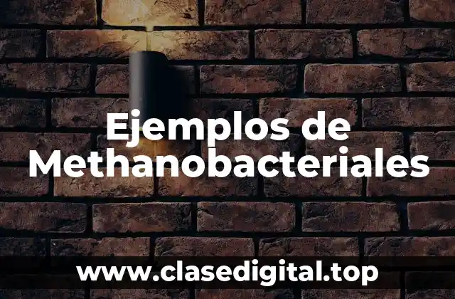 Ejemplos de Methanobacteriales