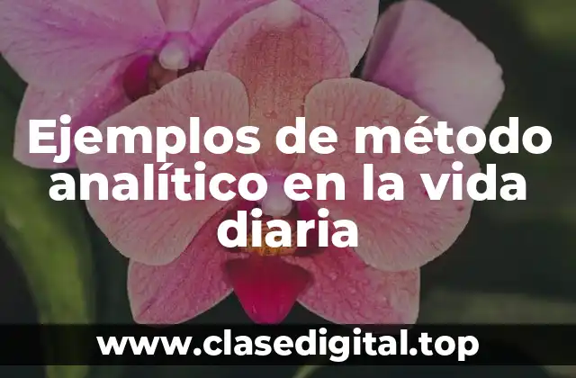 Ejemplos de método analítico en la vida diaria