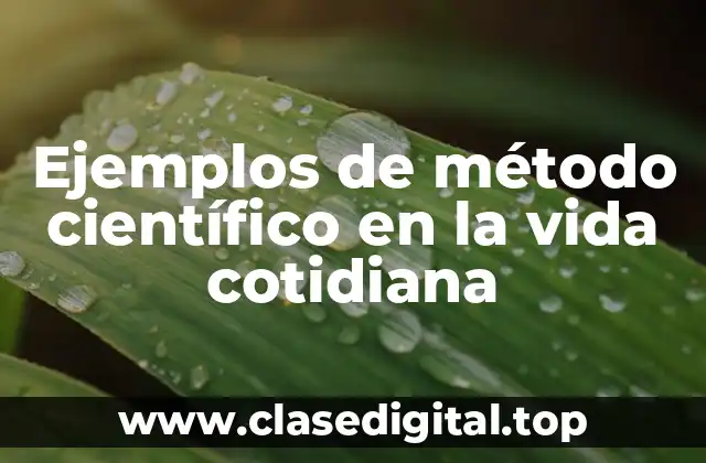 Ejemplos de método científico en la vida cotidiana
