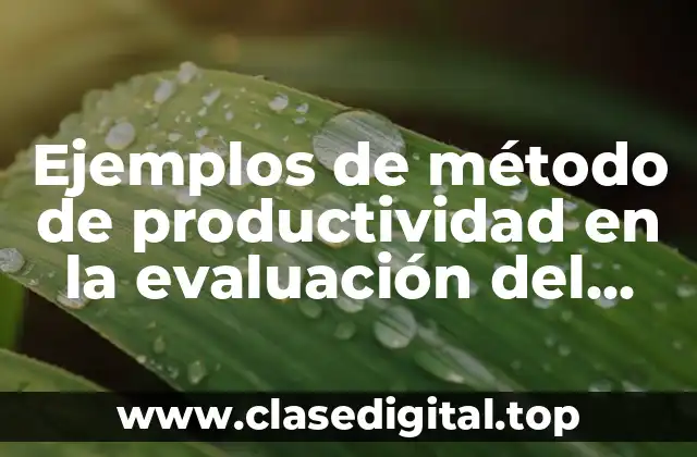 Ejemplos de método de productividad en la evaluación del desempeño