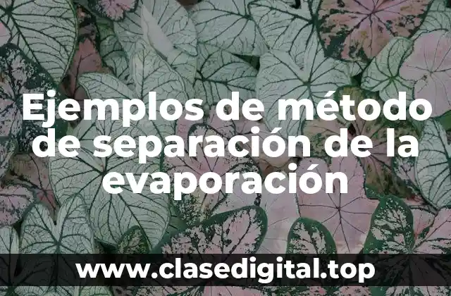 Ejemplos de método de separación de la evaporación