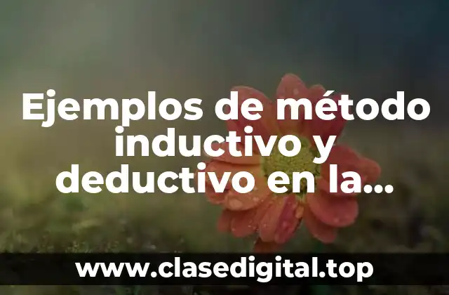 Ejemplos de método inductivo y deductivo en la economía