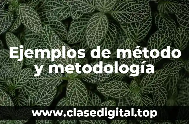 Ejemplos de método y metodología