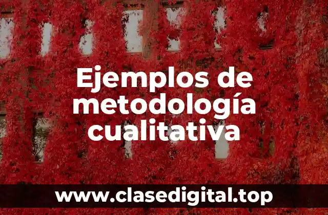 Ejemplos de metodología cualitativa