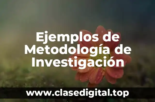 Ejemplos de Metodología de Investigación