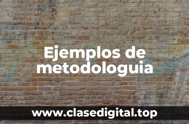 Ejemplos de metodologuia