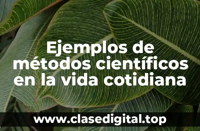 Ejemplos de métodos científicos en la vida cotidiana