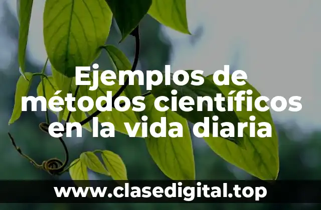 Ejemplos de métodos científicos en la vida diaria