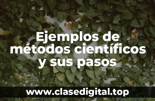 Ejemplos de métodos científicos y sus pasos