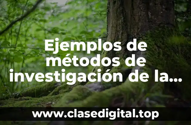 Ejemplos de métodos de investigación de la sociología
