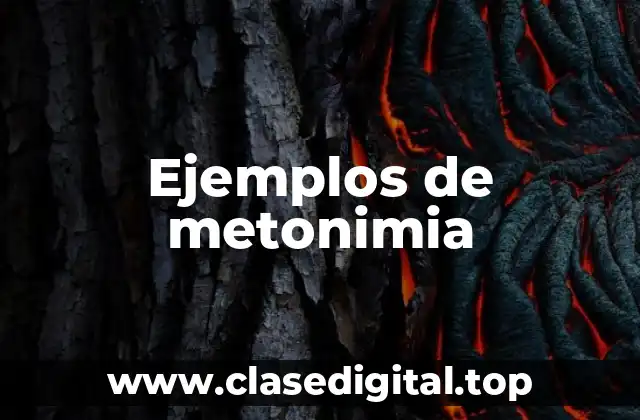 Ejemplos de metonimia