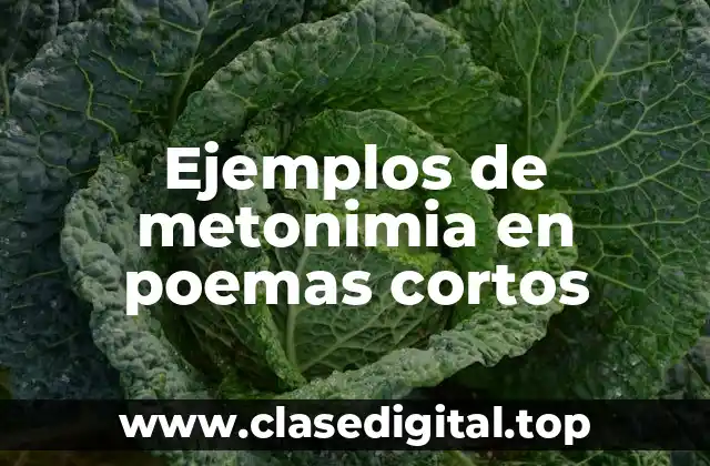 Ejemplos de metonimia en poemas cortos