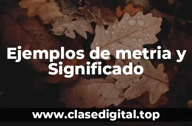 Ejemplos de metria y Significado