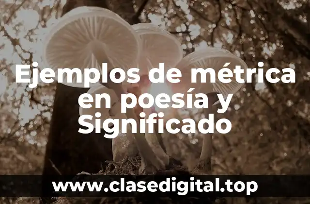 Ejemplos de métrica en poesía y Significado