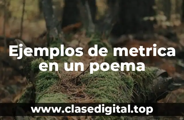 Ejemplos de metrica en un poema