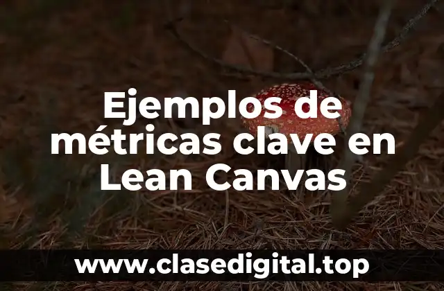 Ejemplos de métricas clave en Lean Canvas