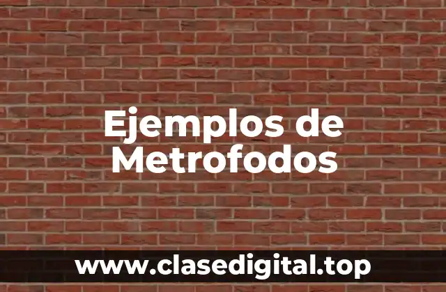 Ejemplos de Metrofodos
