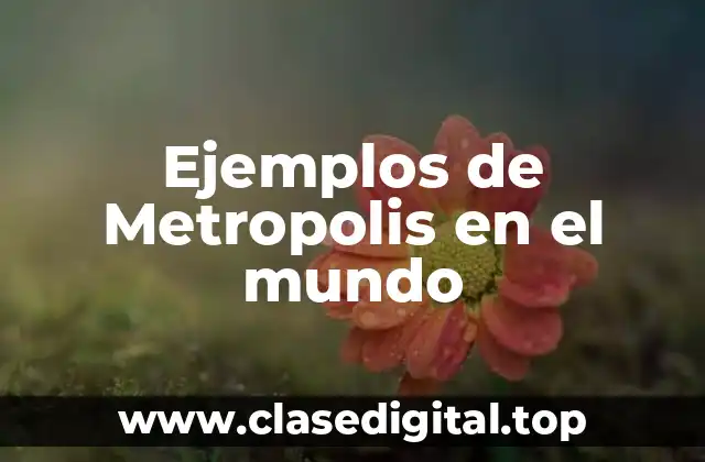 Ejemplos de Metropolis en el mundo