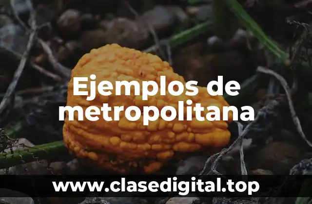 Ejemplos de metropolitana