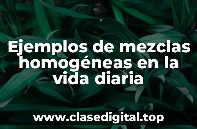 Ejemplos de mezclas homogéneas en la vida diaria