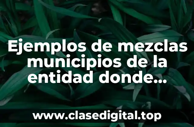 Ejemplos de mezclas municipios de la entidad donde tuvieron presencia