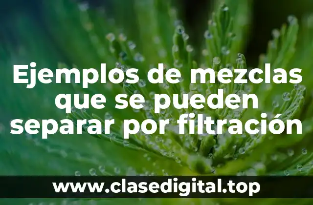 Ejemplos de mezclas que se pueden separar por filtración