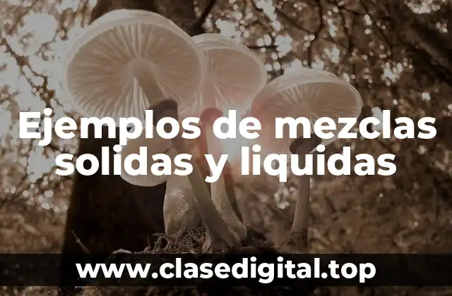 Ejemplos de mezclas solidas y liquidas