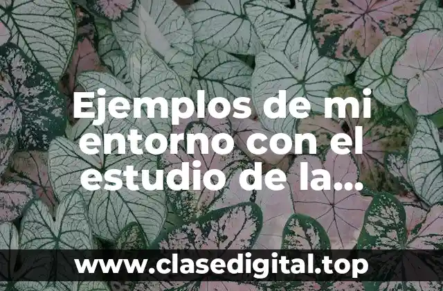 Ejemplos de mi entorno con el estudio de la hidráulica