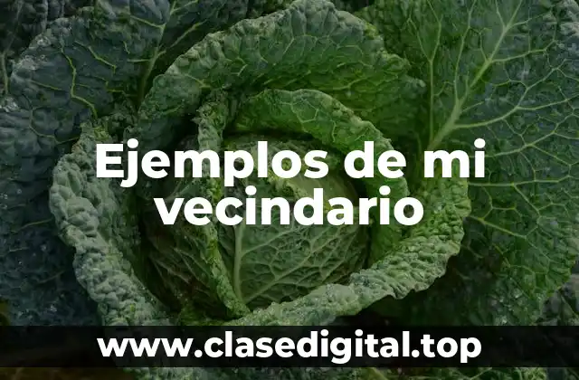 Ejemplos de mi vecindario