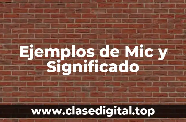 Ejemplos de Mic y Significado