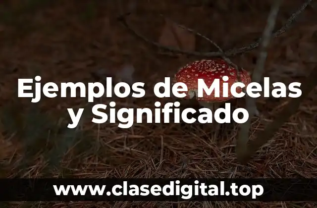 Ejemplos de Micelas